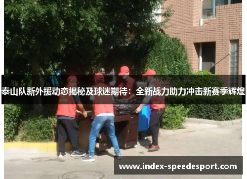 泰山队新外援动态揭秘及球迷期待：全新战力助力冲击新赛季辉煌