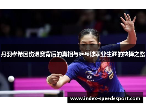 丹羽孝希因伤退赛背后的真相与乒乓球职业生涯的抉择之路