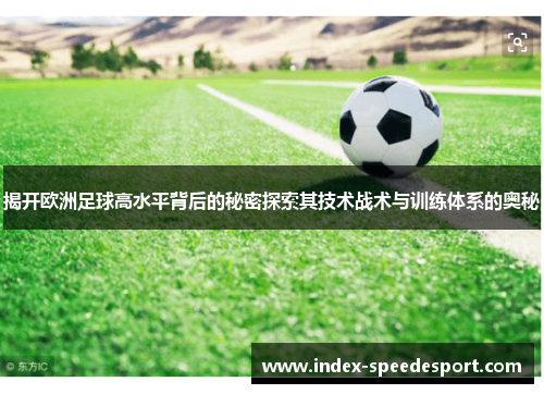 揭开欧洲足球高水平背后的秘密探索其技术战术与训练体系的奥秘