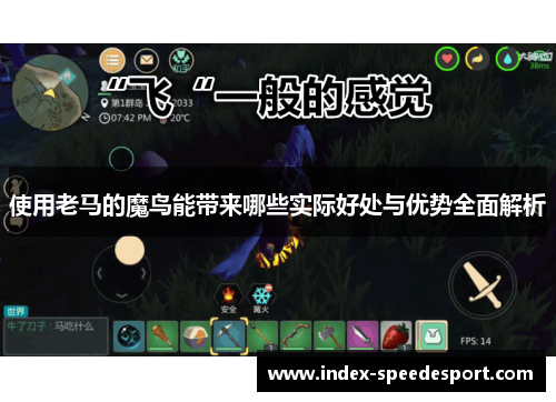使用老马的魔鸟能带来哪些实际好处与优势全面解析