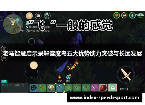 老马智慧启示录解读魔鸟五大优势助力突破与长远发展
