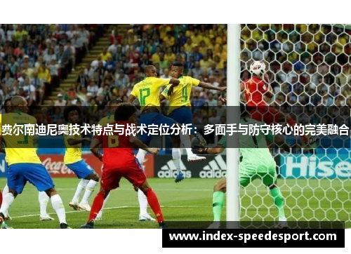 费尔南迪尼奥技术特点与战术定位分析：多面手与防守核心的完美融合
