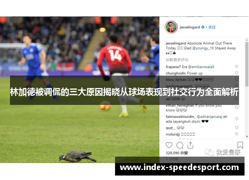 林加德被调侃的三大原因揭晓从球场表现到社交行为全面解析
