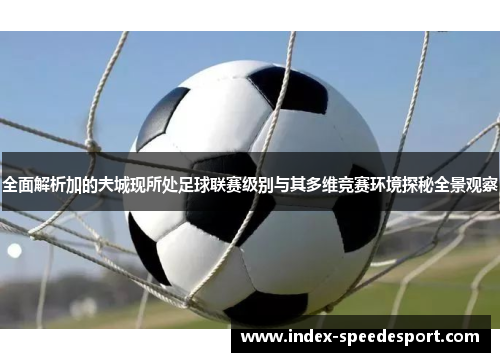 全面解析加的夫城现所处足球联赛级别与其多维竞赛环境探秘全景观察 全面解析加的夫城现所处足球联赛级别与其多维竞赛环境探秘全景观察