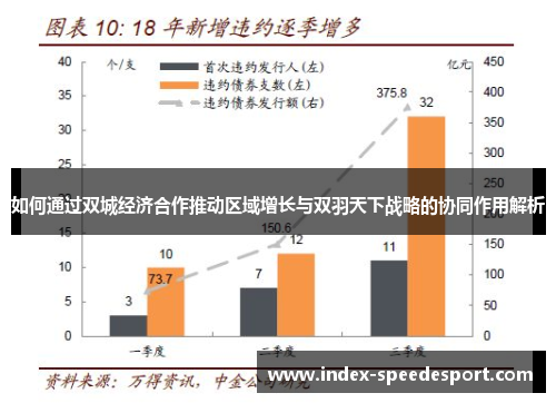 如何通过双城经济合作推动区域增长与双羽天下战略的协同作用解析
